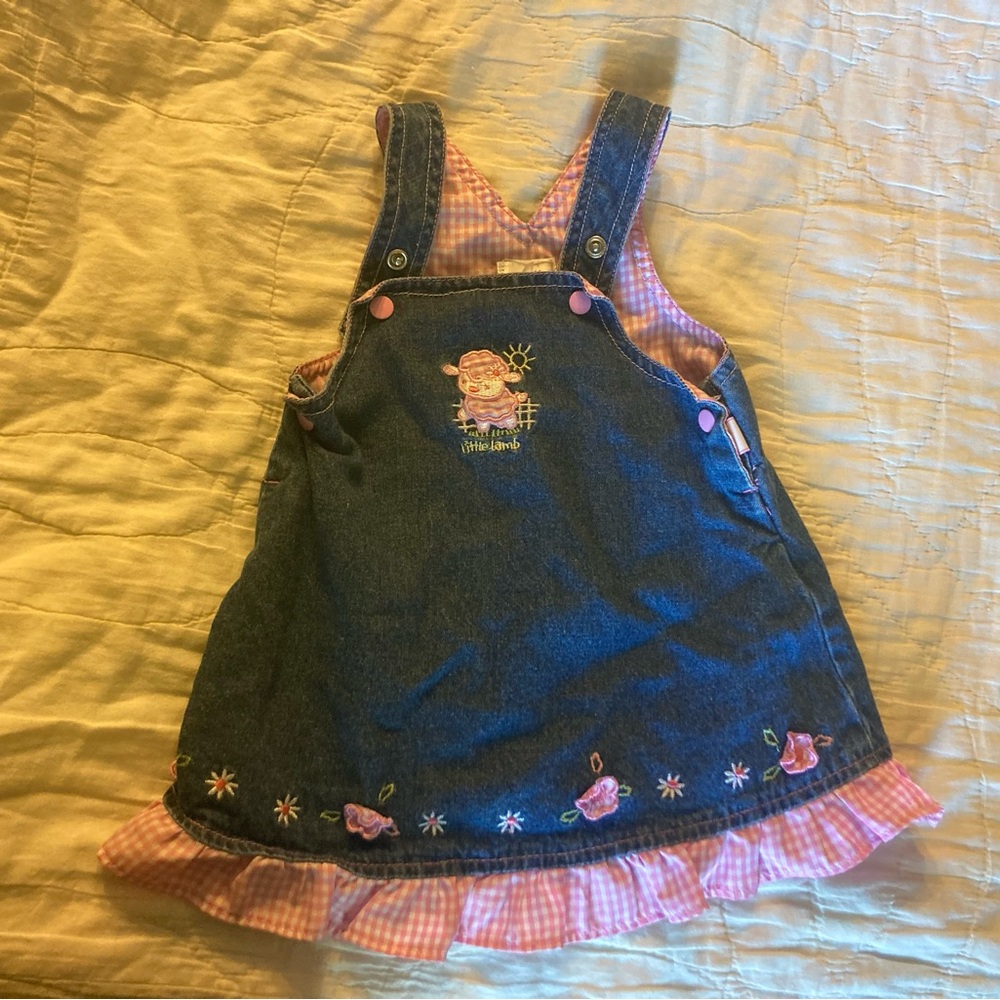Small Wonders Pink Gingham Lined Denim Overall Dress